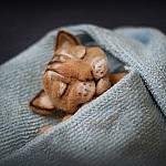Аватара пользователя