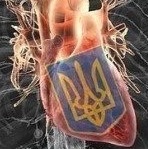 Аватара пользователя