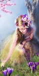 Аватара пользователя