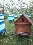 Аватара пользователя