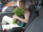 Аватара пользователя