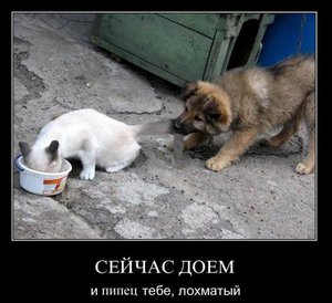 demotivator082.jpg