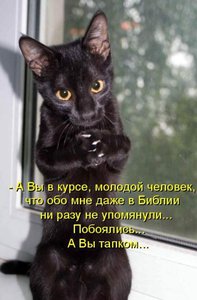 1305231868_47.jpg