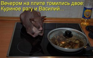 1305231589_21.jpg