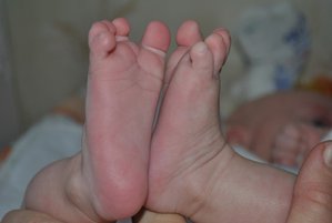 DSC_1074.JPG