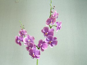 y_b3048841.jpg