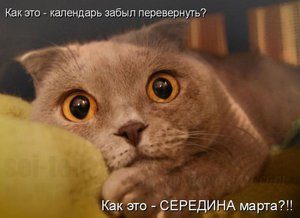 1305231570_16.jpg