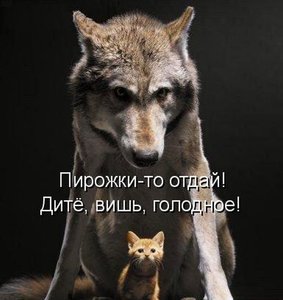 1305231558_13.jpg