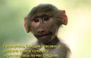 1305231447_11.jpg