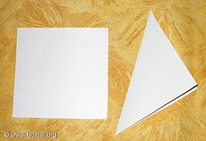 07b02e0409b7.jpg