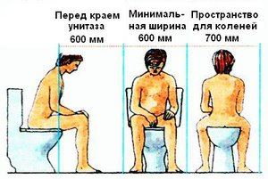 B2471659100000250.jpeg