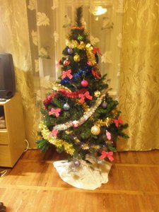 PC2500331.JPG