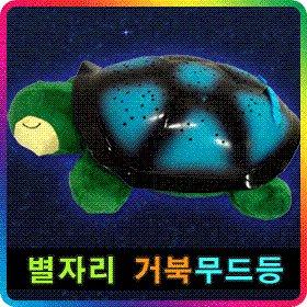 Черепаха-ночник 2.GIF
