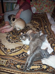 100_0412.JPG