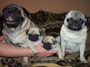 100_1334.JPG