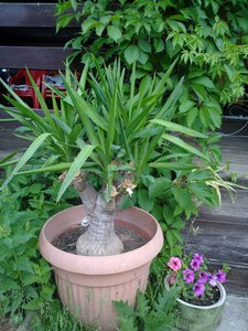 09062011669.jpg