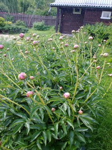 09062011673.jpg