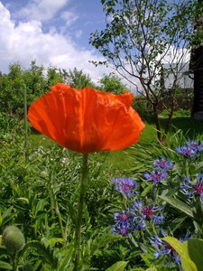 09062011675.jpg