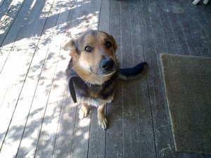 23052011598.jpg