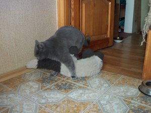 100_0592.JPG