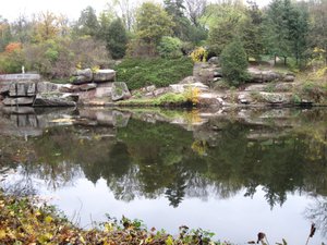 IMG_2972.JPG