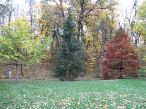IMG_2973.JPG
