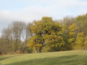 IMG_3084.JPG