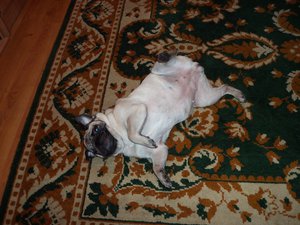 100_0421.JPG