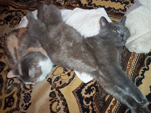 100_0414.JPG