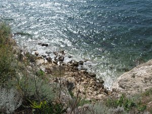 IMG_0090.JPG