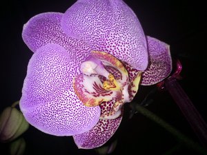 03 - 15 (2).JPG