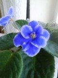 DSC07173.JPG