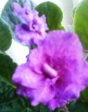 DSC07172.JPG