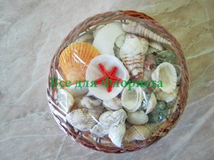 phoca_thumb_l_shell_04.JPG