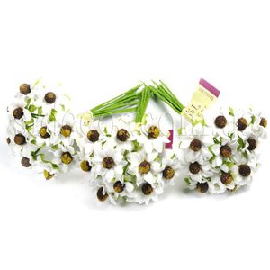 imageFunctions (1).jpg