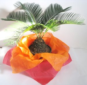 IMG_4586.jpg