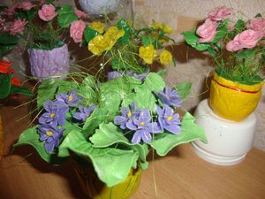 Копия DSC07107.JPG