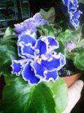 DSC07189.JPG