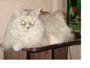 DSC07136-1.jpg