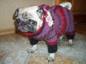 100_2368.JPG