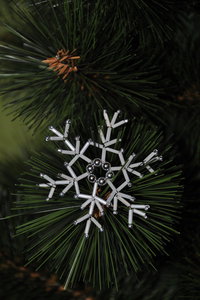 DSC_4433z.JPG