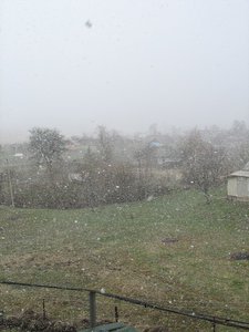 IMG_3366.JPG