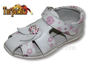 phoca_thumb_l_tiger_bos_2011_35.jpg