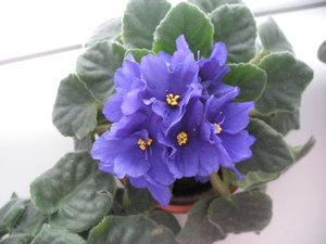 IMG_3944.jpg