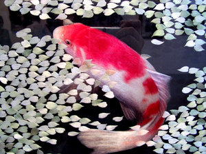 3451082_Izobrazhenie_121.jpg