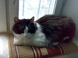 26022012818.jpg