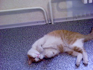 DSC00114.JPG
