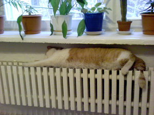 DSC00121.JPG