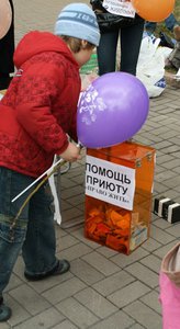 z_3f43d264.jpg