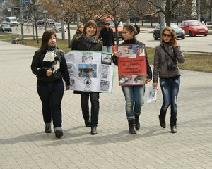 z_0d3133c8.jpg